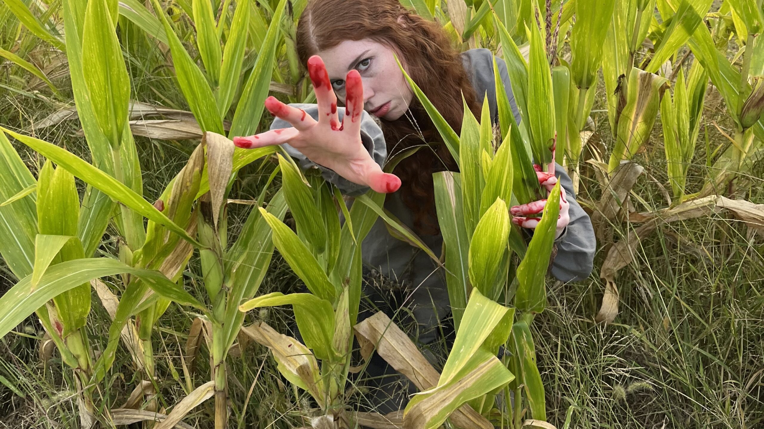 an actor crouching in a cornfield holds out a hand dripping with fake blood